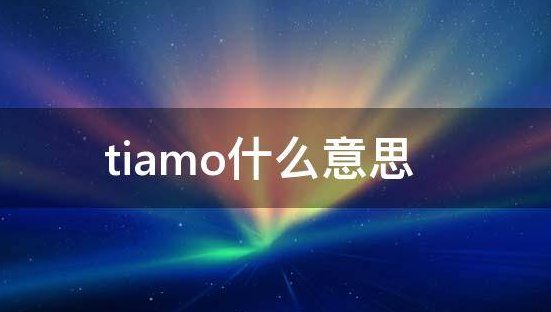 男生昵称用tiamo什么意思