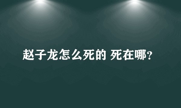 赵子龙怎么死的 死在哪？
