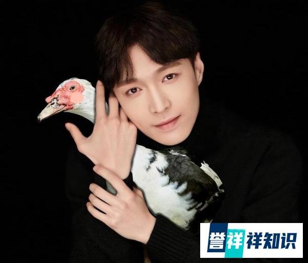 《向往的生活6》定档4月,原班人马齐声欢呼,只张艺兴却遇新挑战