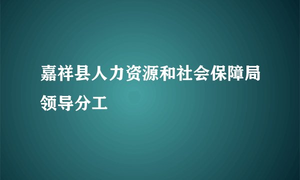 嘉祥县人力资源和社会保障局领导分工