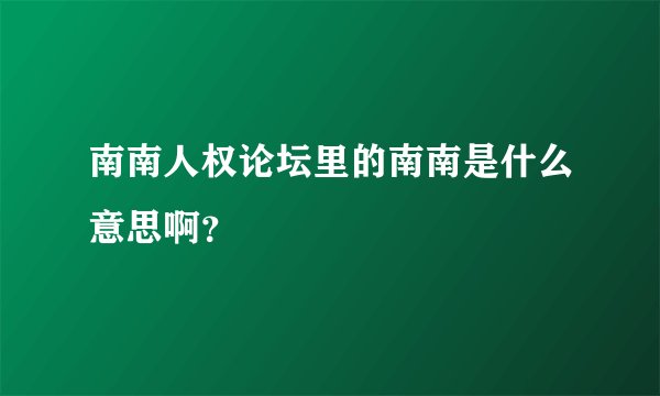 南南人权论坛里的南南是什么意思啊？