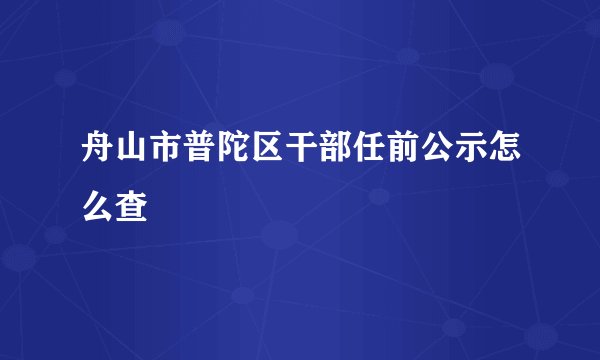 舟山市普陀区干部任前公示怎么查