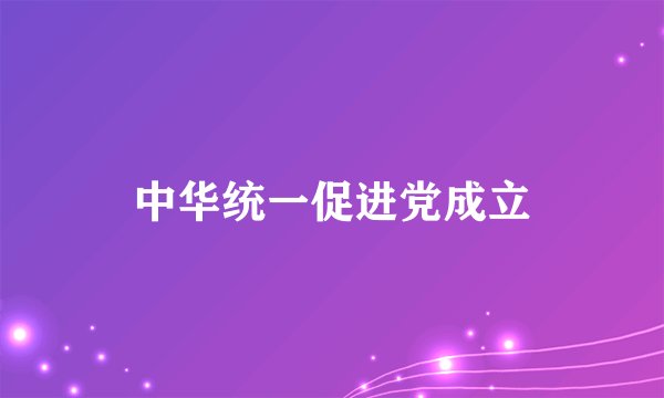 中华统一促进党成立