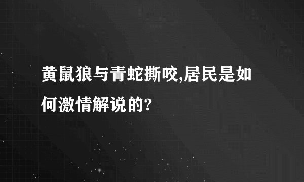 黄鼠狼与青蛇撕咬,居民是如何激情解说的?