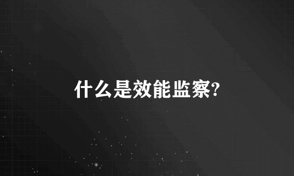 什么是效能监察?