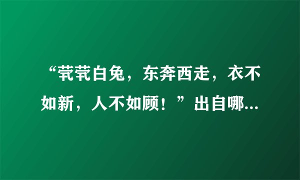 “茕茕白兔，东奔西走，衣不如新，人不如顾！”出自哪里？什么意思呢？