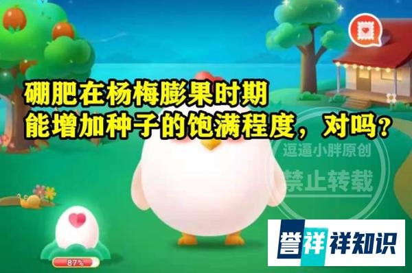 硼肥在杨梅膨果时期能增加种子的饱满程度对吗？蚂蚁新村答案