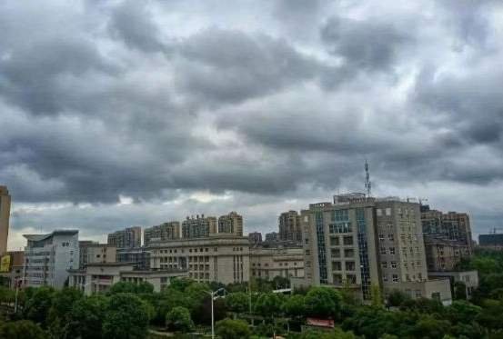 台风杜苏苪的哪个学科较强