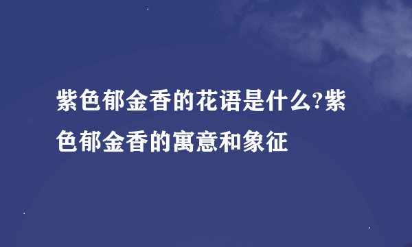 紫色郁金香的花语是什么?紫色郁金香的寓意和象征
