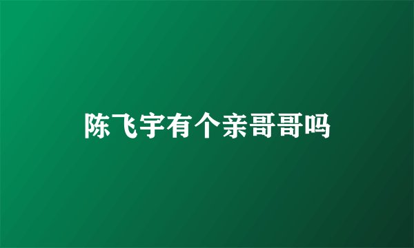 陈飞宇有个亲哥哥吗