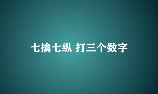 七擒七纵 打三个数字