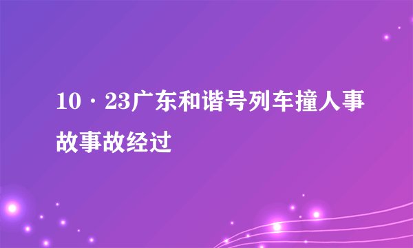 10·23广东和谐号列车撞人事故事故经过