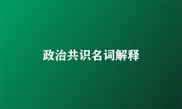 政治共识名词解释