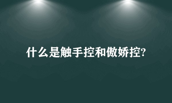 什么是触手控和傲娇控?