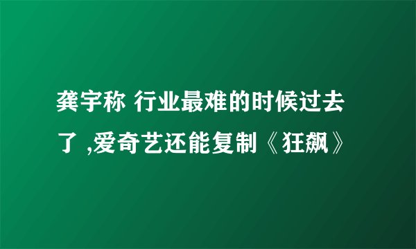 龚宇称 行业最难的时候过去了 ,爱奇艺还能复制《狂飙》