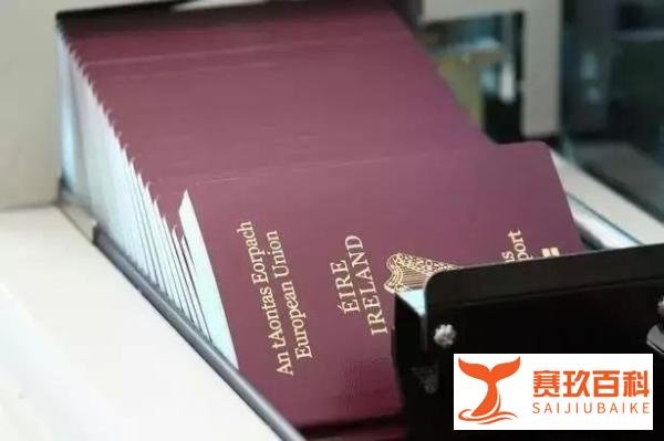 英国脱欧后,爱尔兰护照遭“疯抢”