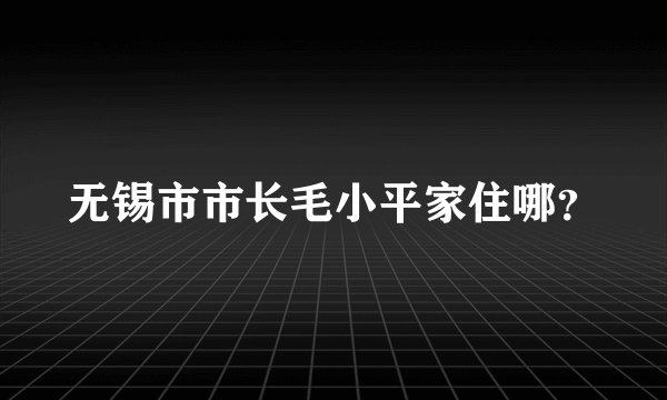 无锡市市长毛小平家住哪？