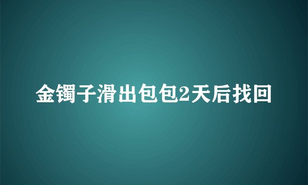 金镯子滑出包包2天后找回