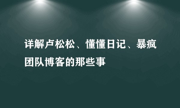 详解卢松松、懂懂日记、暴疯团队博客的那些事