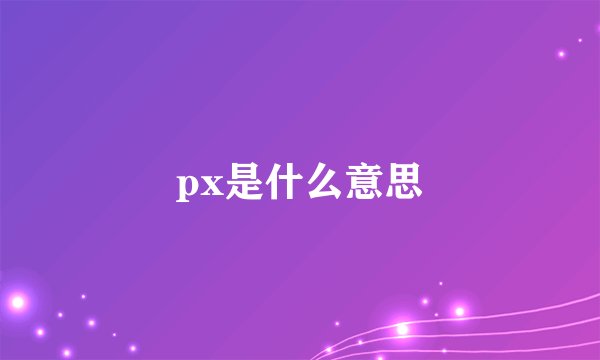 px是什么意思