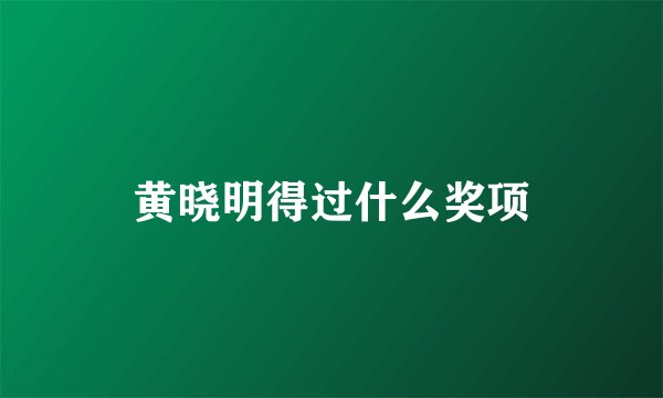 黄晓明得过什么奖项