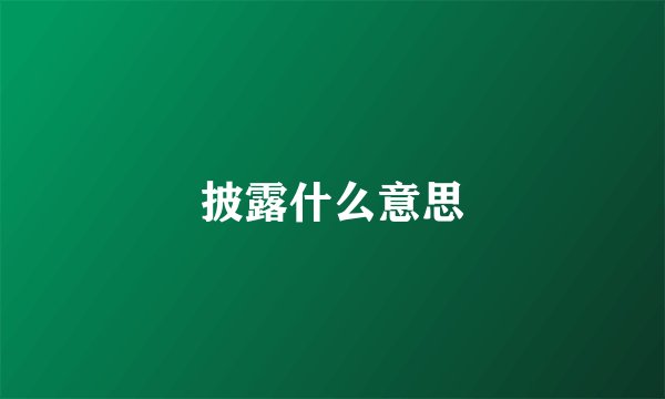 披露什么意思