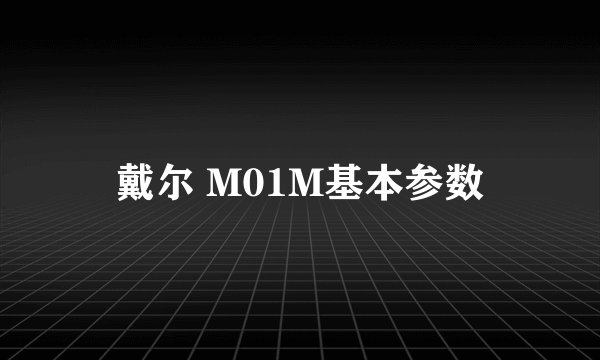 戴尔 M01M基本参数