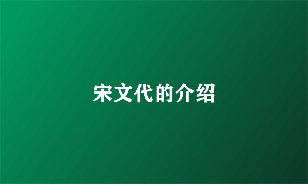 宋文代的介绍
