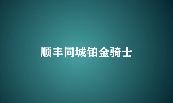 顺丰同城铂金骑士