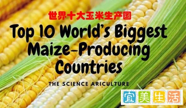 世界十大玉米生产国排行榜，中国排第二，最大玉米生产国是哪个？