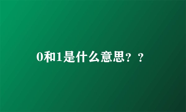 0和1是什么意思??