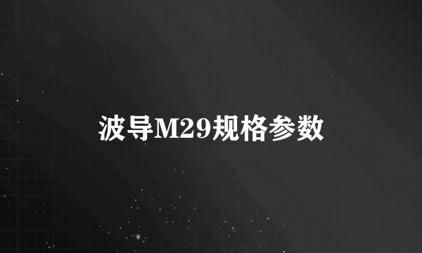 波导M29规格参数