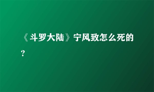 《斗罗大陆》宁风致怎么死的？