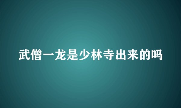 武僧一龙是少林寺出来的吗