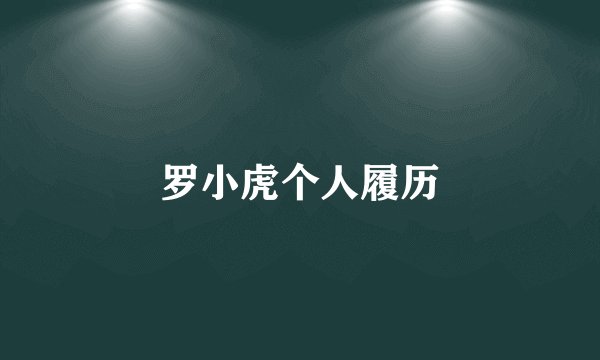 罗小虎个人履历
