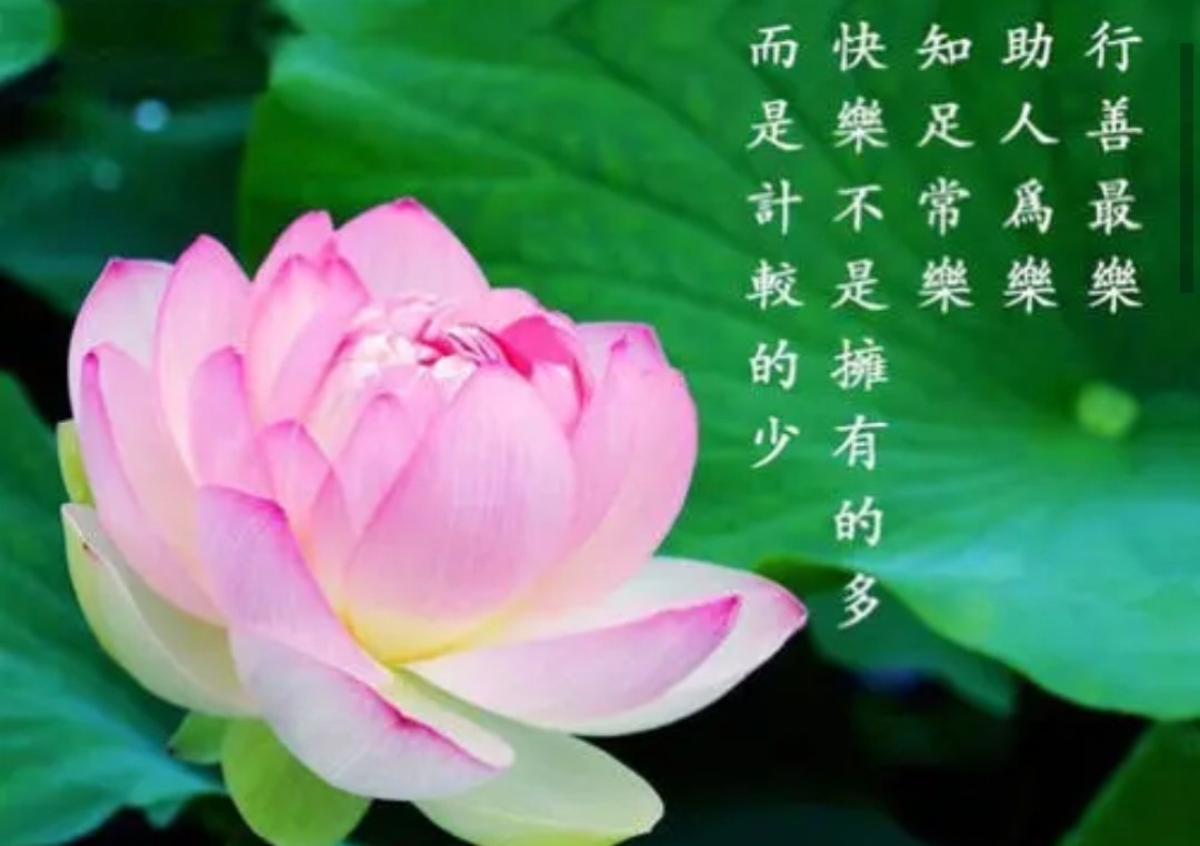 新疆一拾荒老人到餐厅要水,老板给煮面,这位老板身上有哪些可贵的品质?