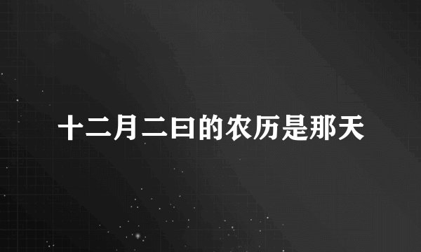 十二月二曰的农历是那天