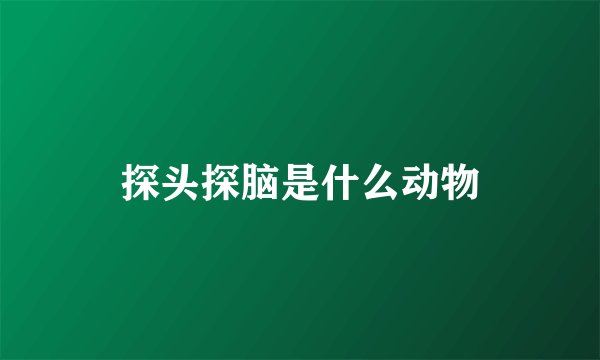 探头探脑是什么动物