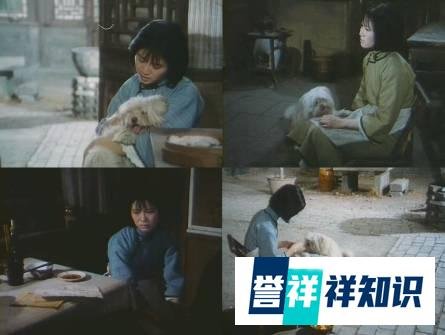 经典电影赏析之66:《伤逝》-1981