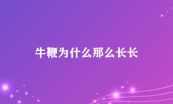 牛鞭为什么那么长长
