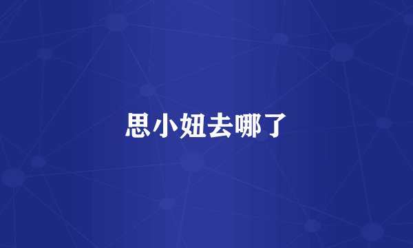 思小妞去哪了