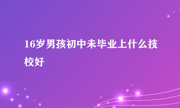16岁男孩初中未毕业上什么技校好