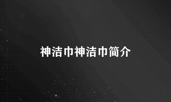 神洁巾神洁巾简介