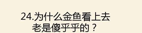 什么锁没有孔,什么灯不会亮,什么房没有门