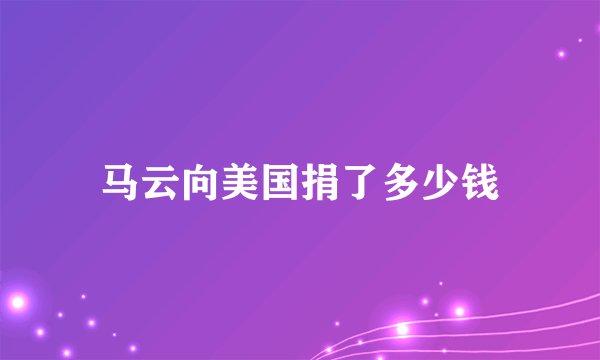 马云向美国捐了多少钱