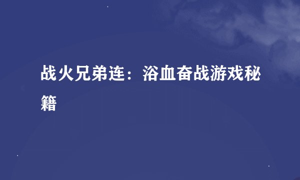 战火兄弟连：浴血奋战游戏秘籍
