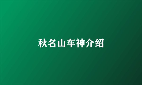 秋名山车神介绍