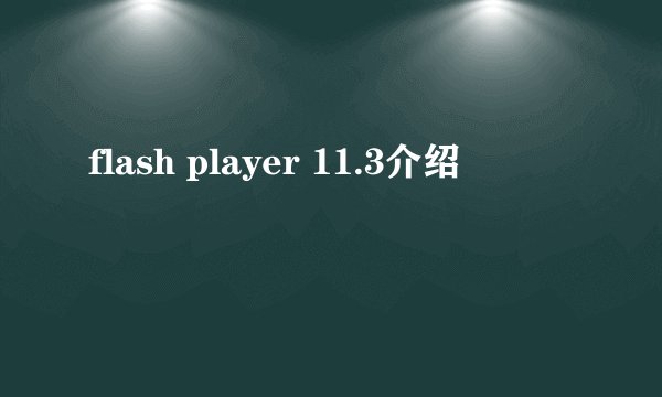 flash player 11.3介绍