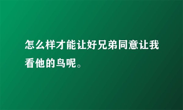 怎么样才能让好兄弟同意让我看他的鸟呢。