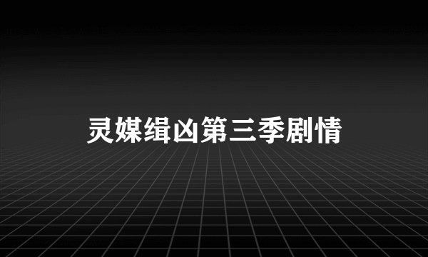 灵媒缉凶第三季剧情